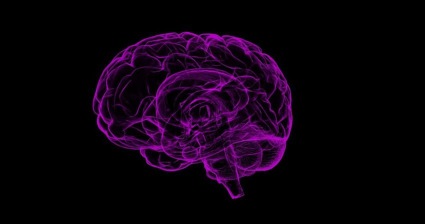 brain-1787622_1280