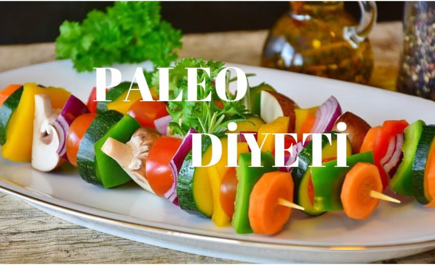 PALEO dİ
