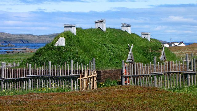 L'Anse-aux-Meadows-Denizanası-Koyu