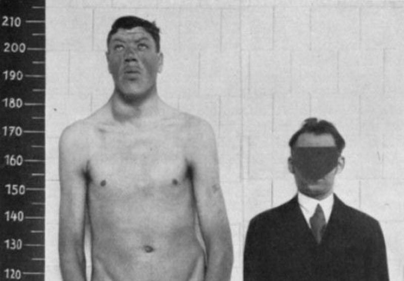 Adam Rainer'ın Hikayesi