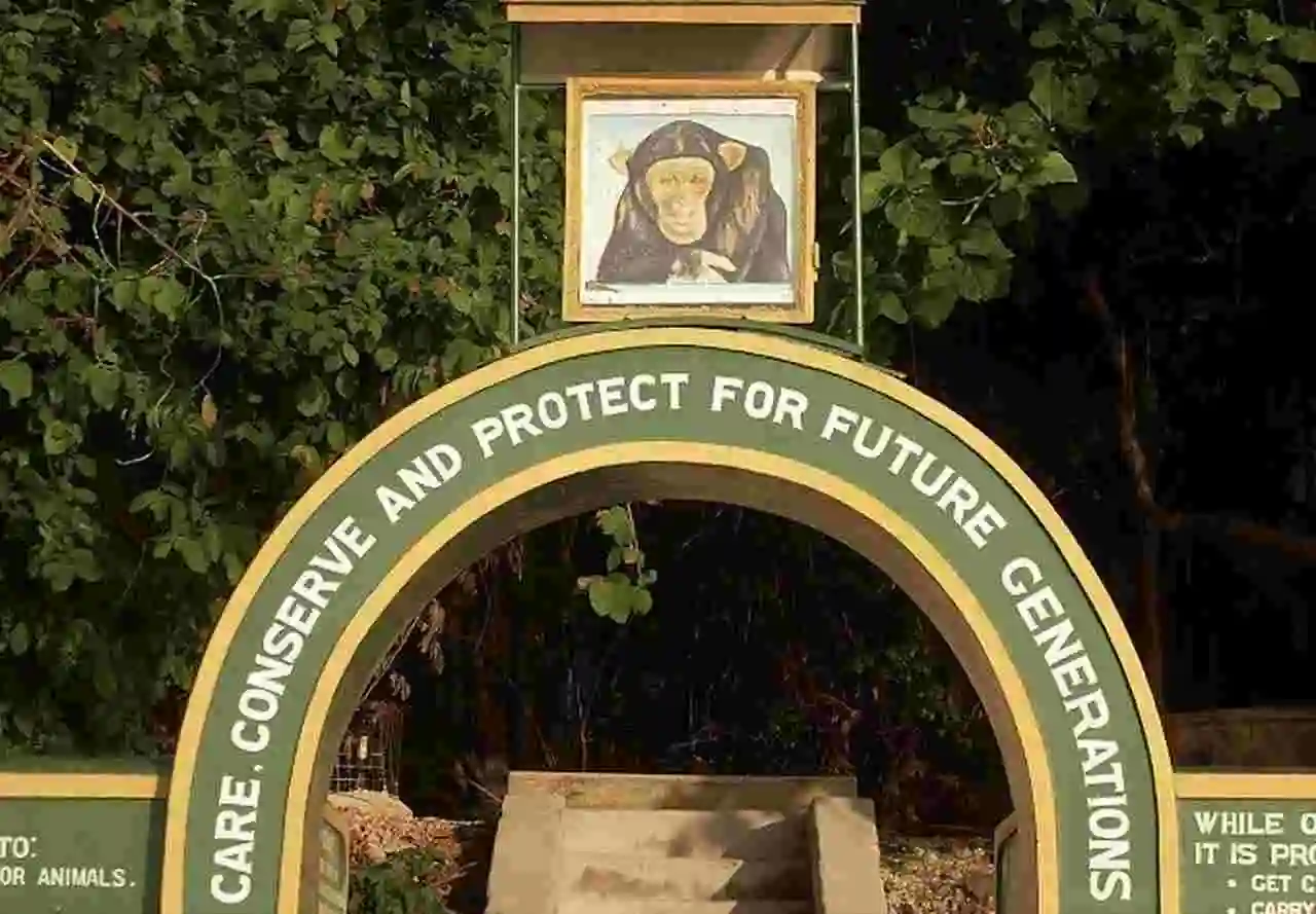 gombe ulusal parkı - gombe şempanze savaşı